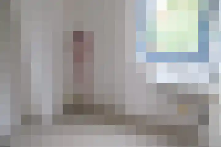 Korenbloem 58 Culemborg thumbnail 7