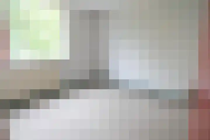 Korenbloem 58 Culemborg thumbnail 9
