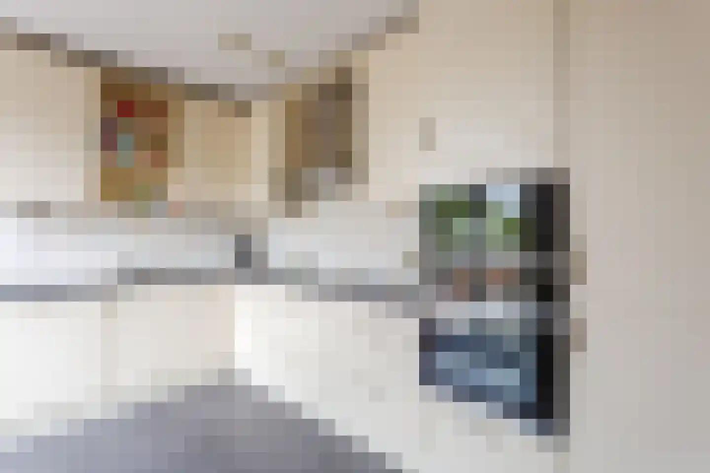 Korenbloem 6 Mijdrecht thumbnail 8