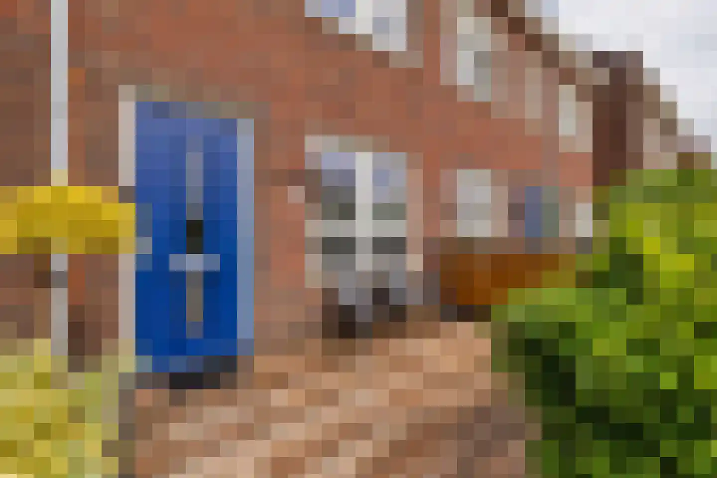 Korenbloem 60 Oudenhoorn thumbnail 10
