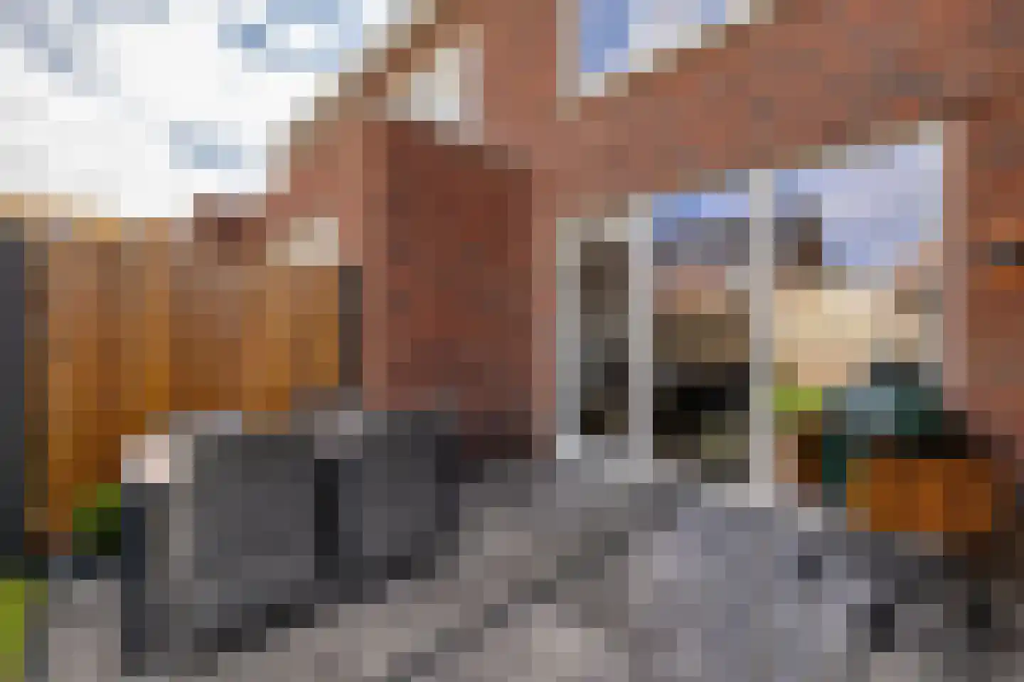 Korenbloem 60 Oudenhoorn thumbnail 22