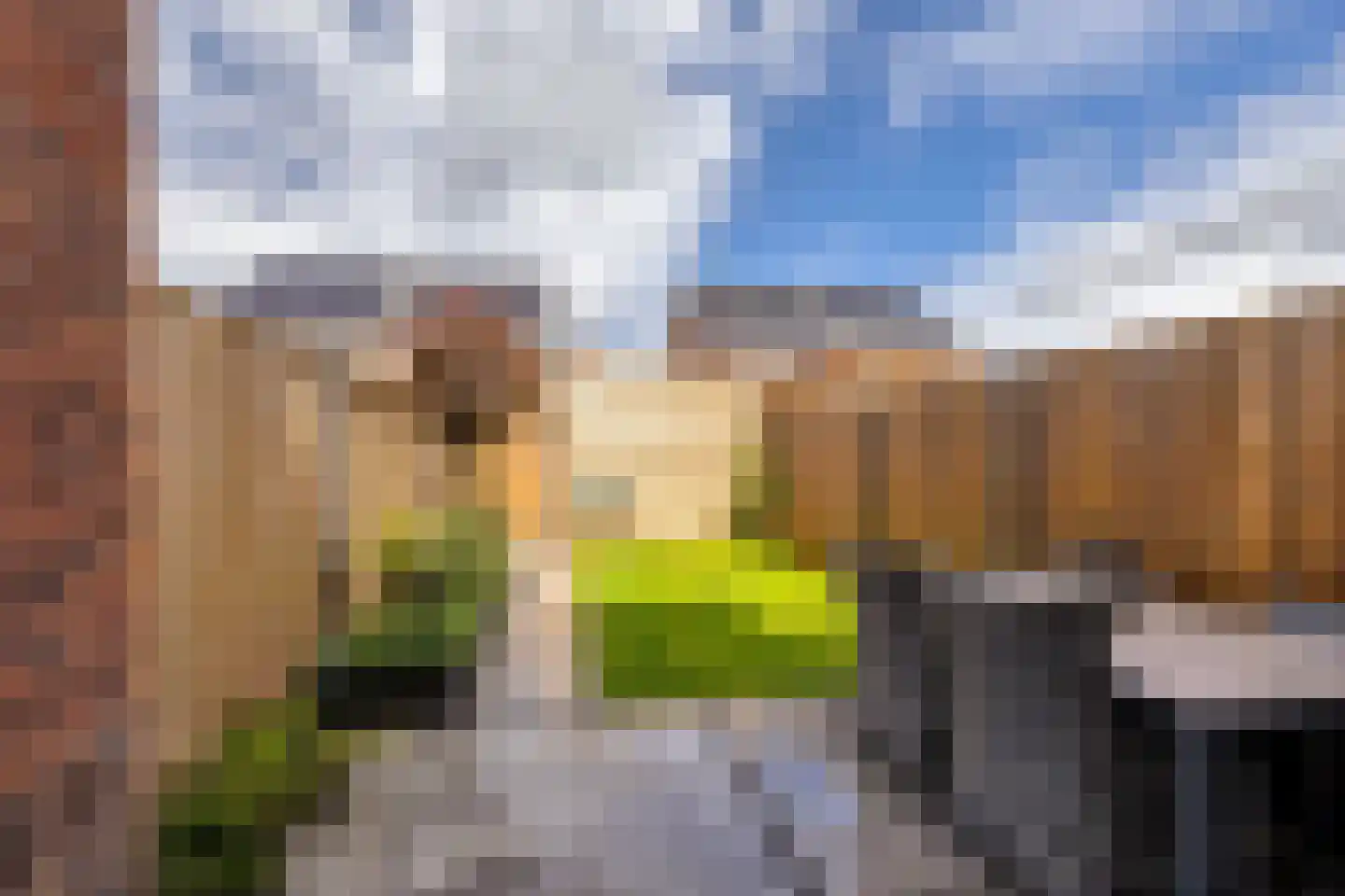 Korenbloem 60 Oudenhoorn thumbnail 24