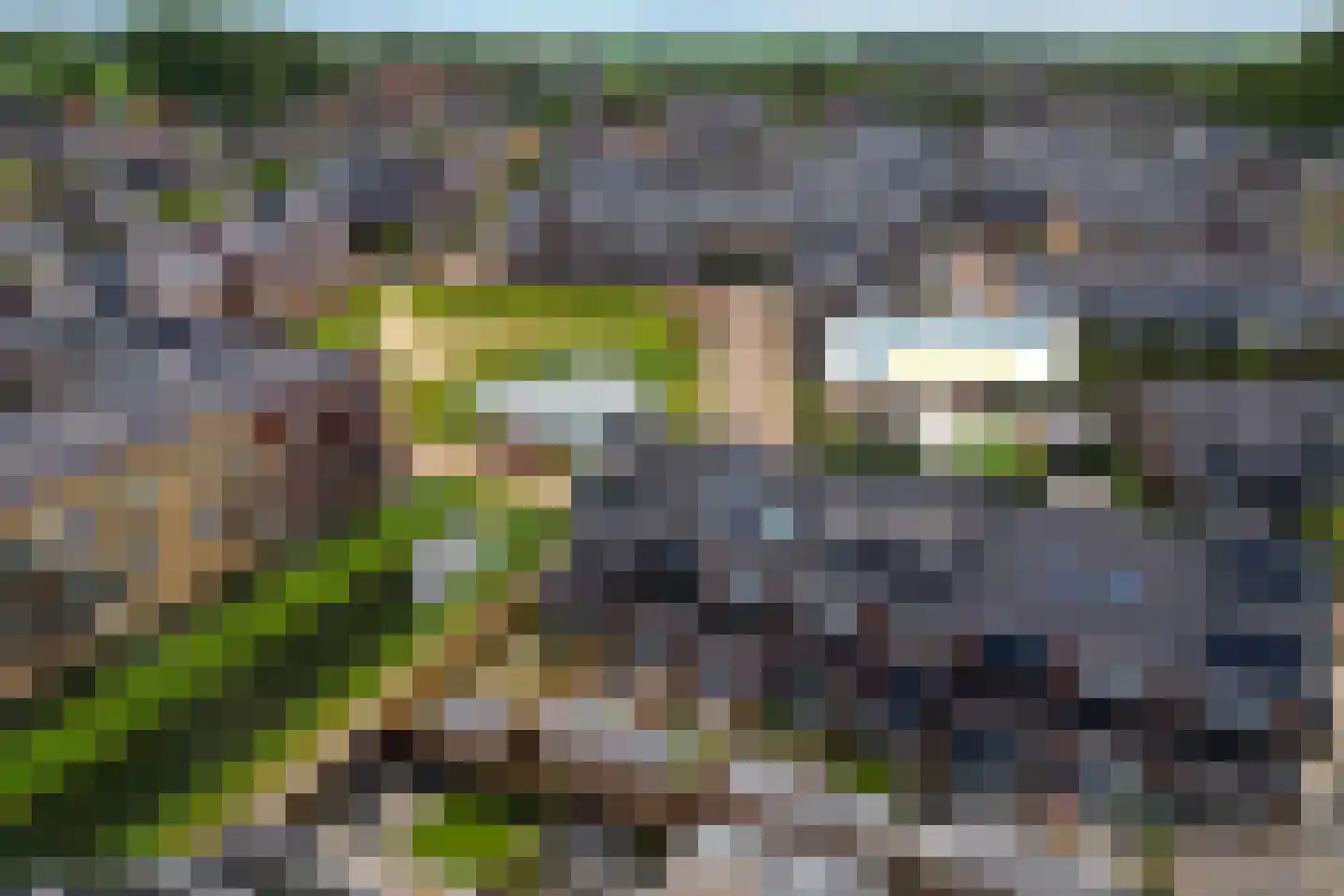 Korenbloem 60 Oudenhoorn thumbnail 26