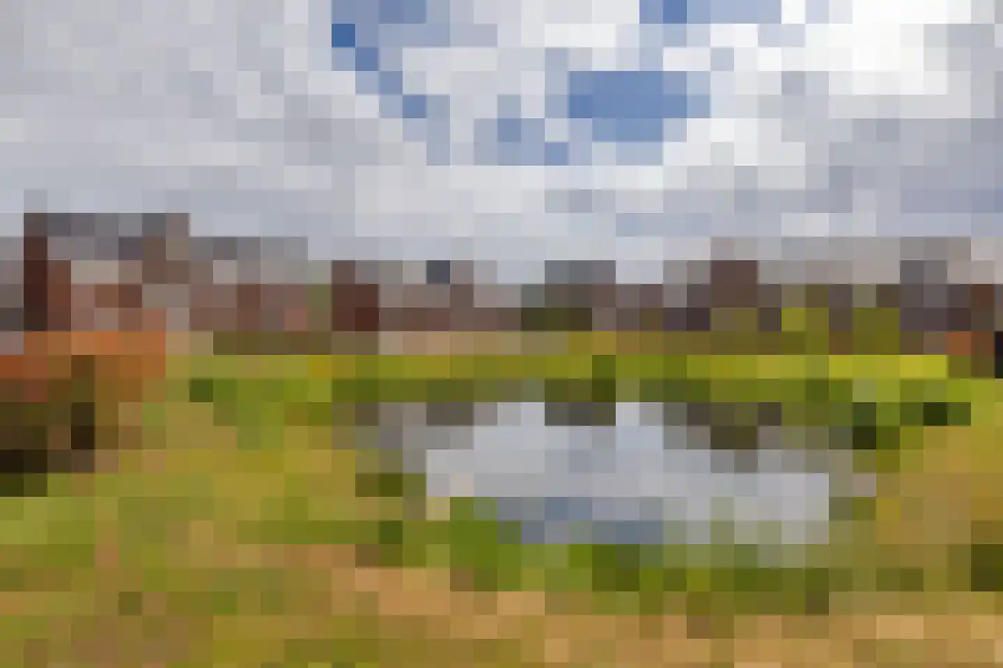 Korenbloem 60 Oudenhoorn thumbnail 43