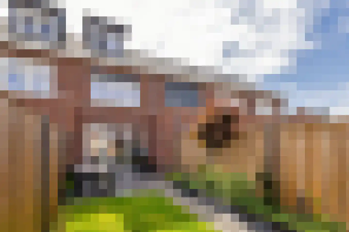 Korenbloem 60 Oudenhoorn thumbnail 6