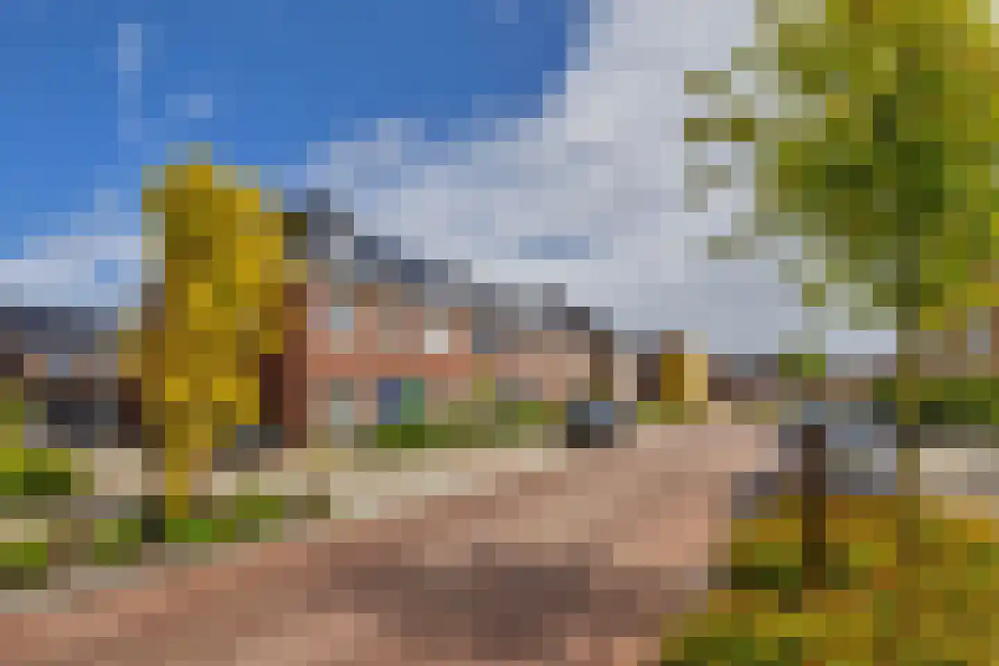 Korenbloem 60 Oudenhoorn thumbnail 7