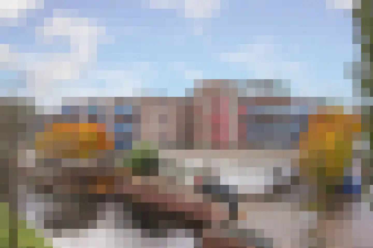 Korenbloem 61 Zwaag thumbnail 14