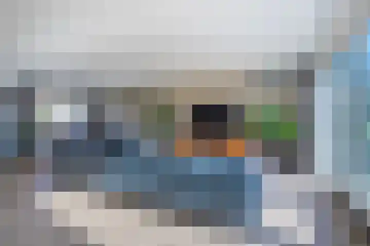 Korenbloem 65 Duiven thumbnail 12