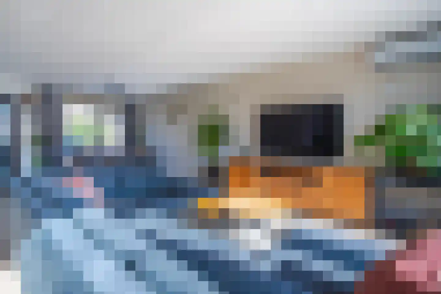 Korenbloem 65 Duiven thumbnail 13