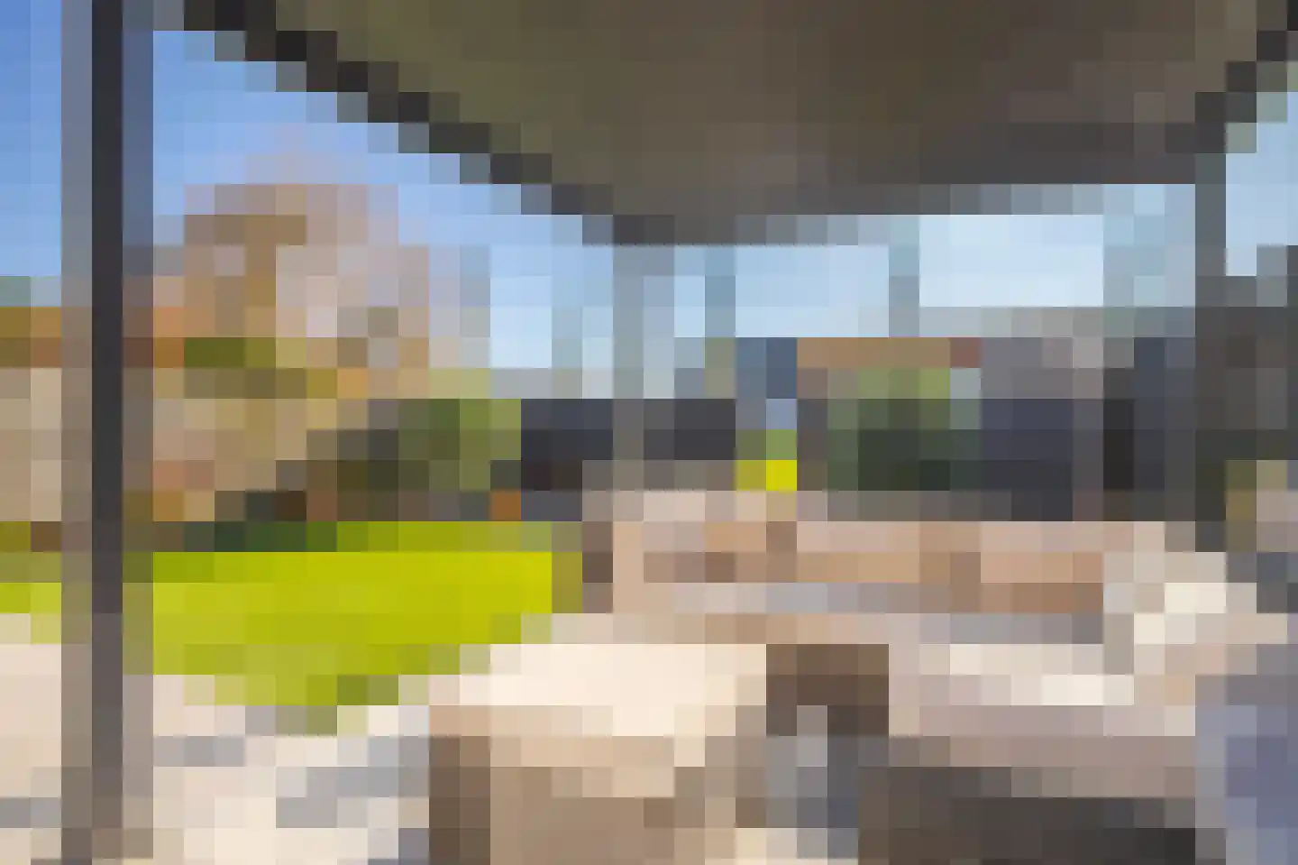 Korenbloem 65 Duiven thumbnail 22