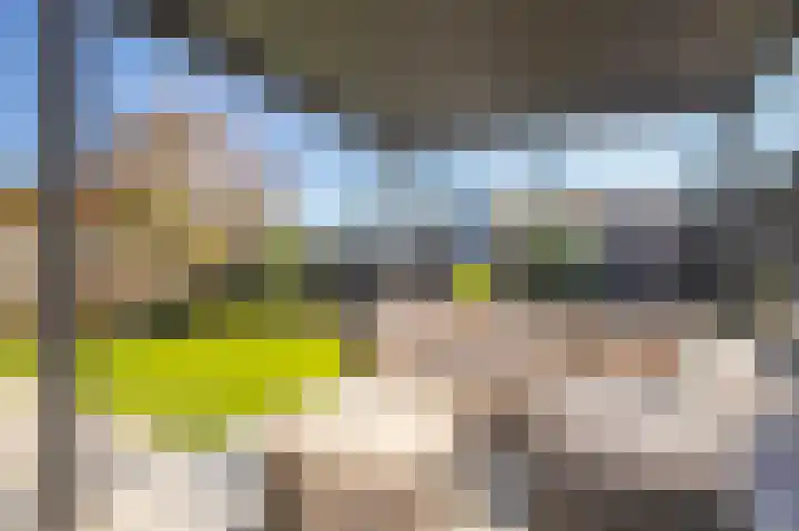 Korenbloem 65 Duiven thumbnail 22