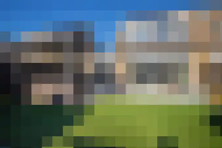 Korenbloem 65 Duiven thumbnail 23