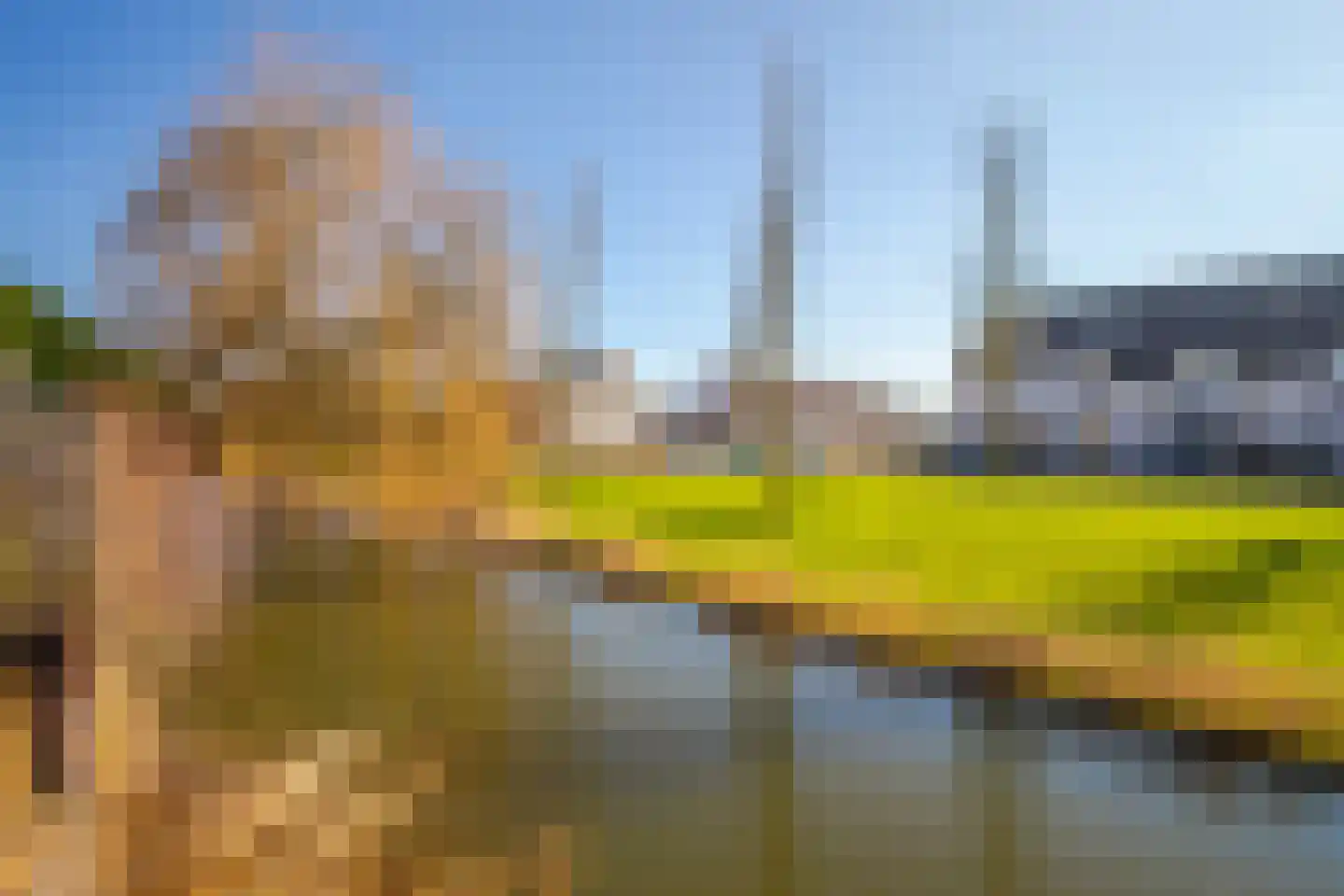 Korenbloem 65 Duiven thumbnail 25