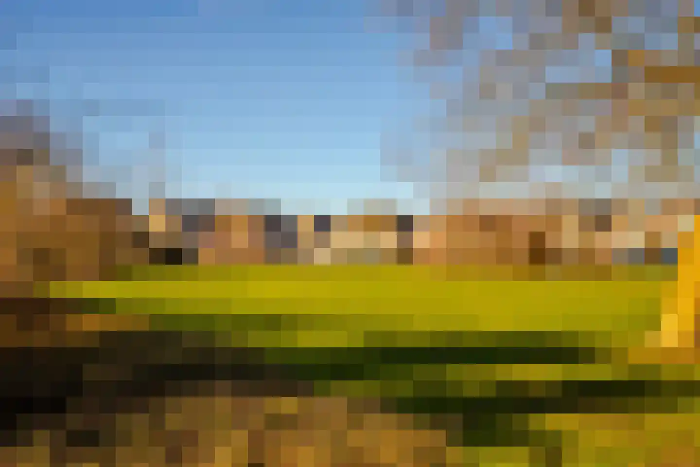 Korenbloem 65 Duiven thumbnail 36
