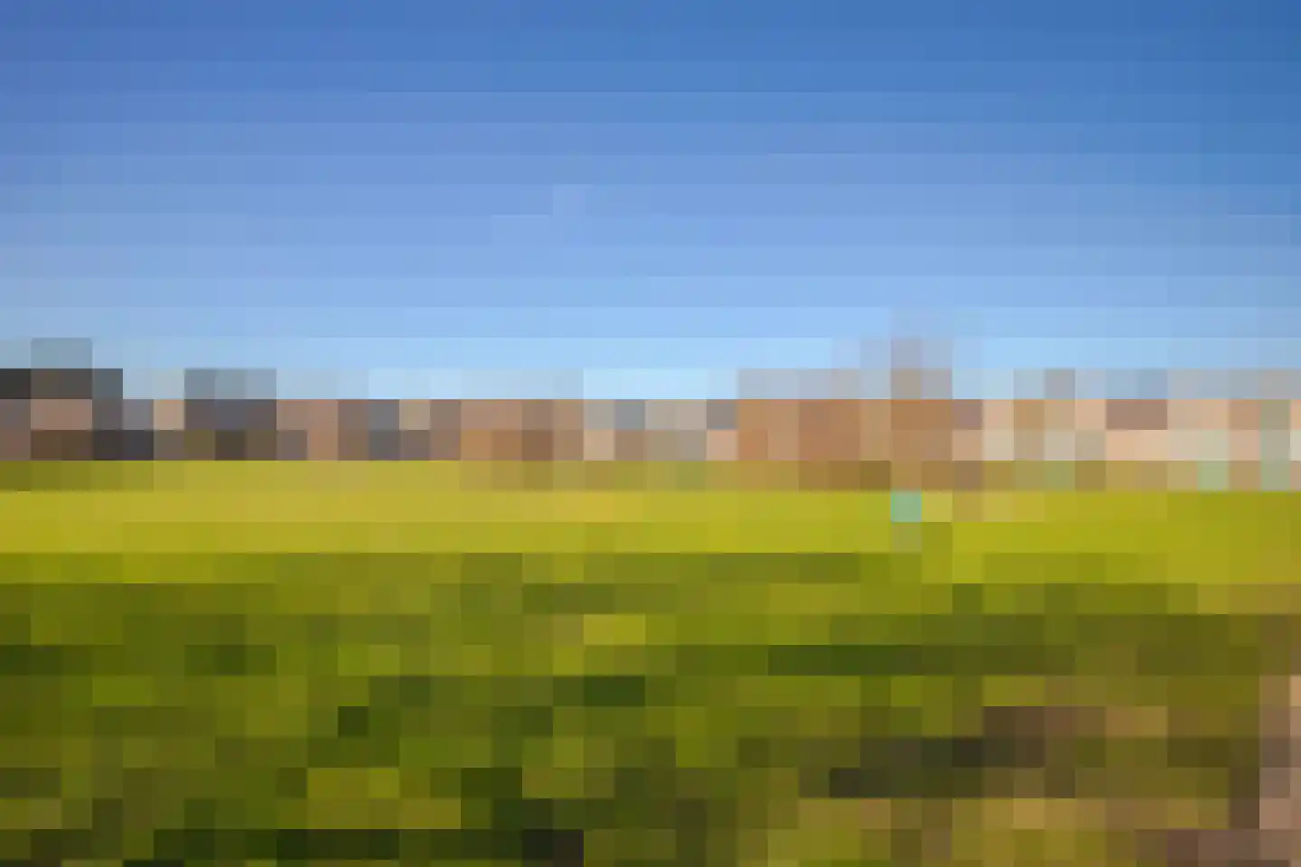 Korenbloem 65 Duiven thumbnail 37