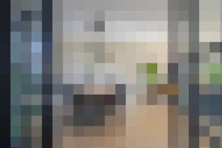 Korenbloem 65 Duiven thumbnail 8