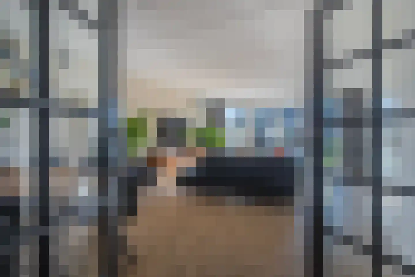 Korenbloem 65 Duiven thumbnail 9