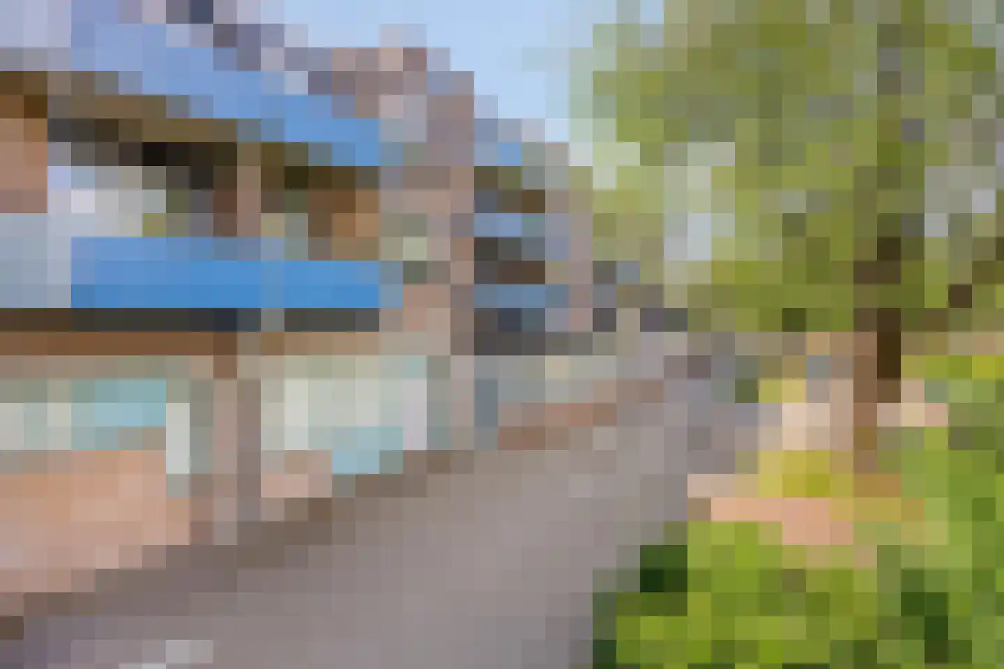 Korenbloem 66 Zwaag thumbnail 17