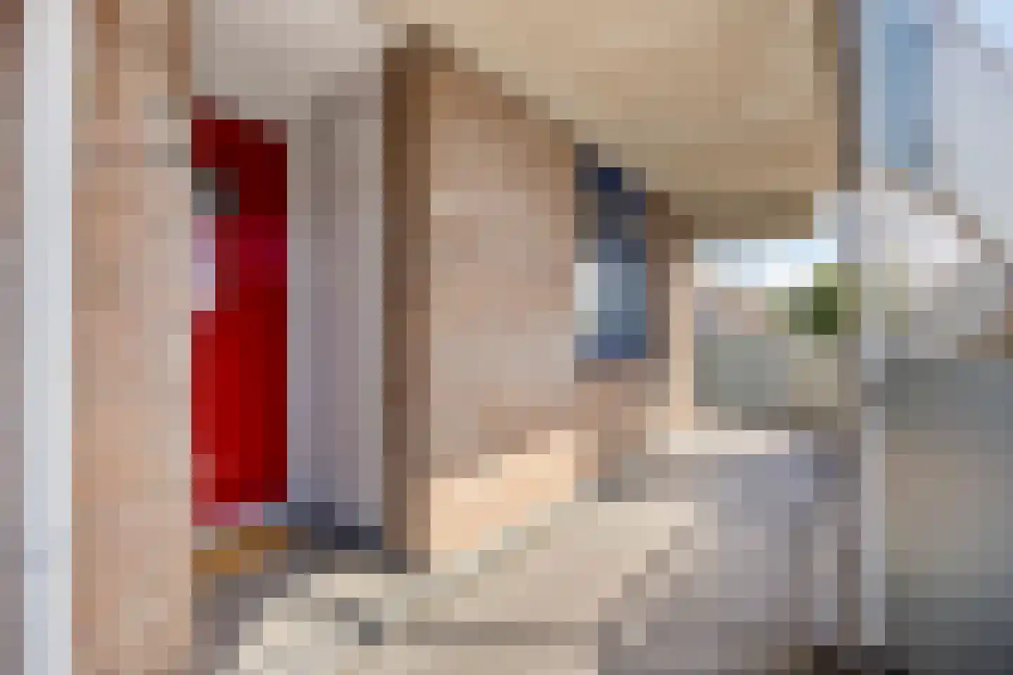Korenbloem 66 Zwaag thumbnail 6