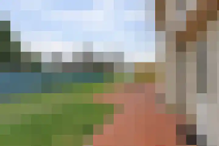 Korenbloem 7 Helden thumbnail 27