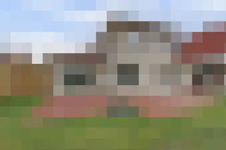 Korenbloem 7 Helden thumbnail 29