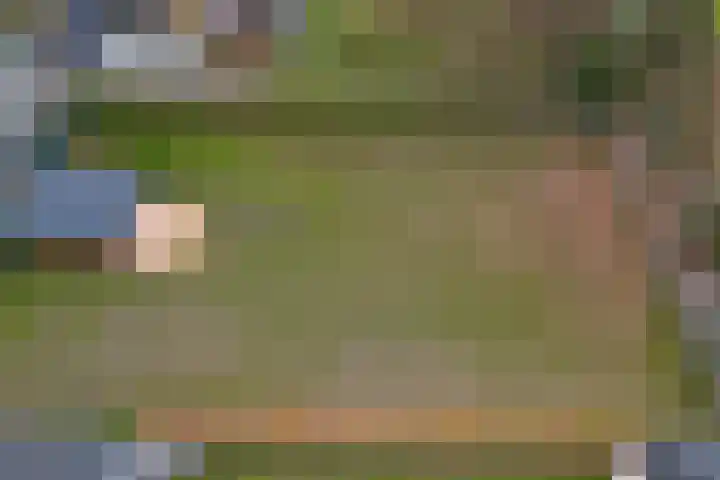 Korenbloem 7 Helden thumbnail 34