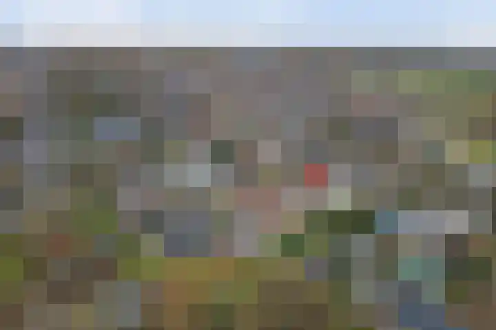 Korenbloem 7 Helden thumbnail 36