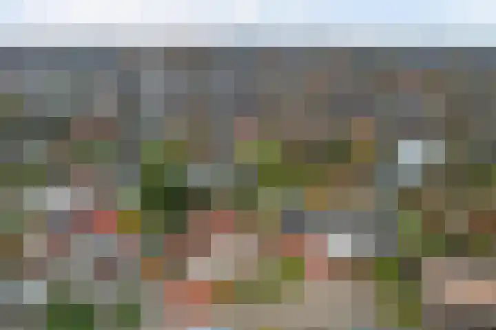 Korenbloem 7 Helden thumbnail 37