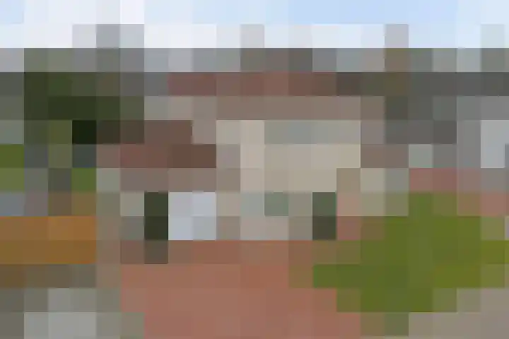 Korenbloem 7 Helden thumbnail 43