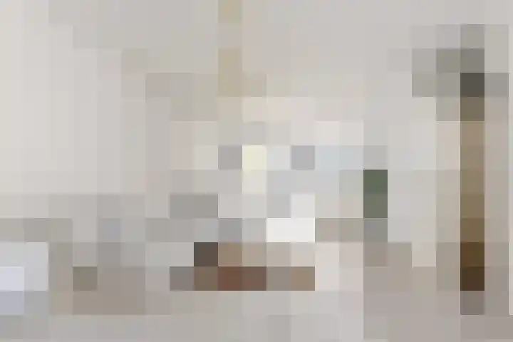 Korenbloem 7 Zevenbergen thumbnail 10