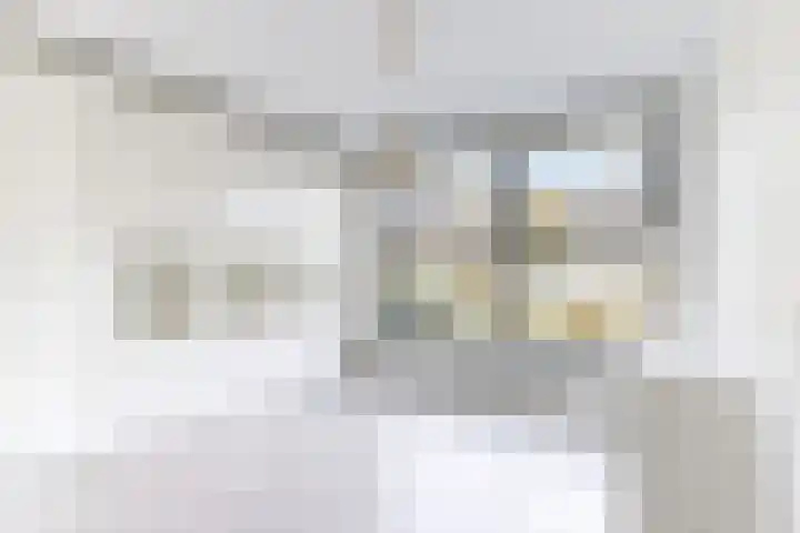Korenbloem 7 Zevenbergen thumbnail 11