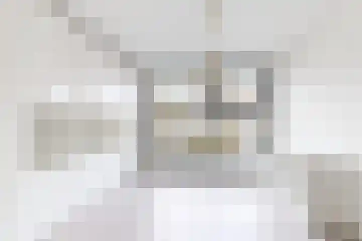Korenbloem 7 Zevenbergen thumbnail 12