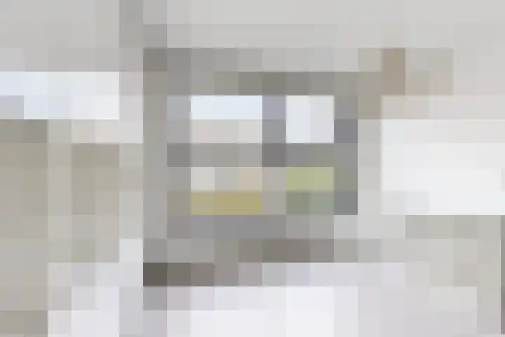 Korenbloem 7 Zevenbergen thumbnail 13