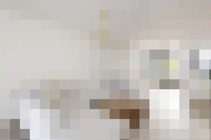 Korenbloem 7 Zevenbergen thumbnail 16