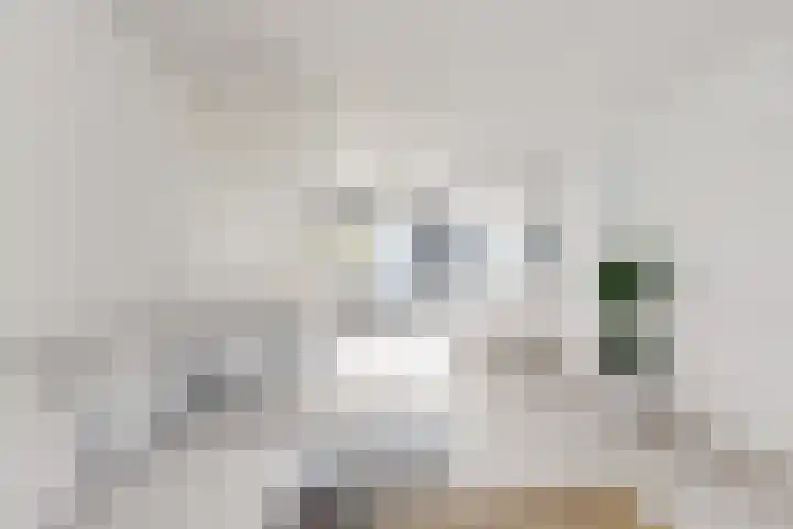 Korenbloem 7 Zevenbergen thumbnail 17