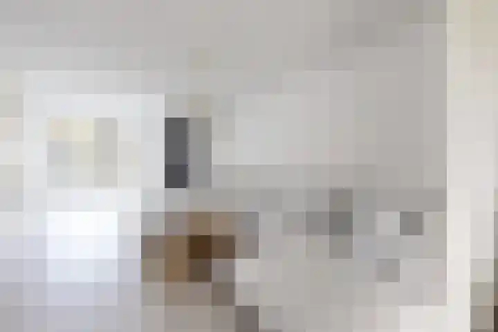 Korenbloem 7 Zevenbergen thumbnail 20