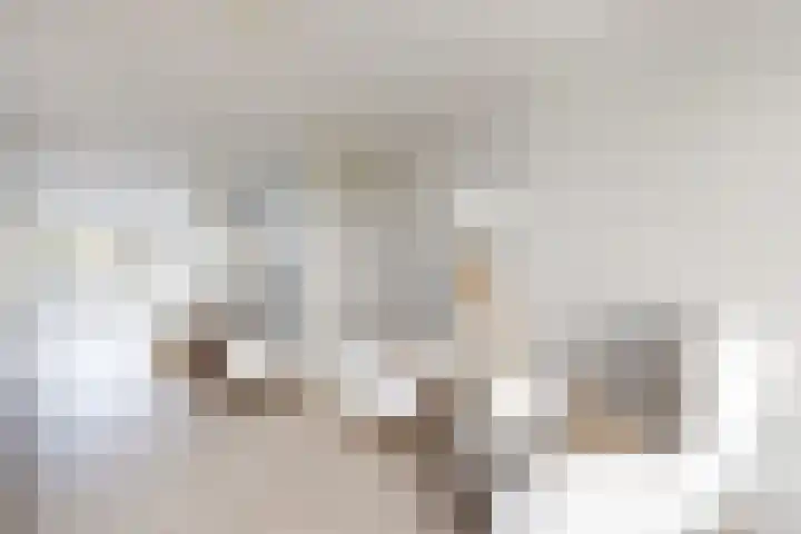 Korenbloem 7 Zevenbergen thumbnail 22
