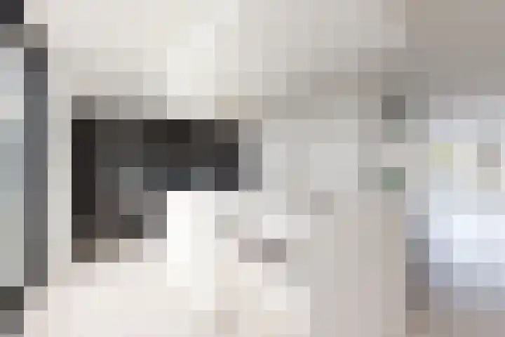Korenbloem 7 Zevenbergen thumbnail 25