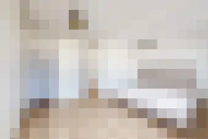 Korenbloem 7 Zevenbergen thumbnail 31