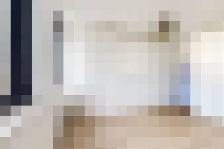 Korenbloem 7 Zevenbergen thumbnail 32