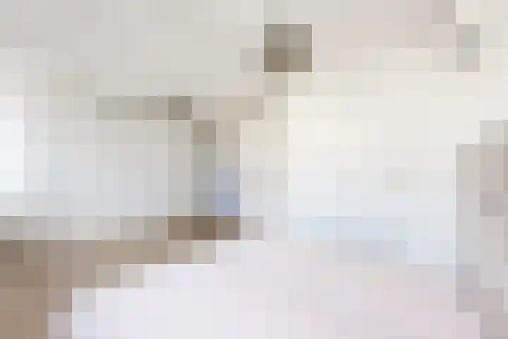 Korenbloem 7 Zevenbergen thumbnail 33