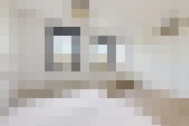 Korenbloem 7 Zevenbergen thumbnail 34