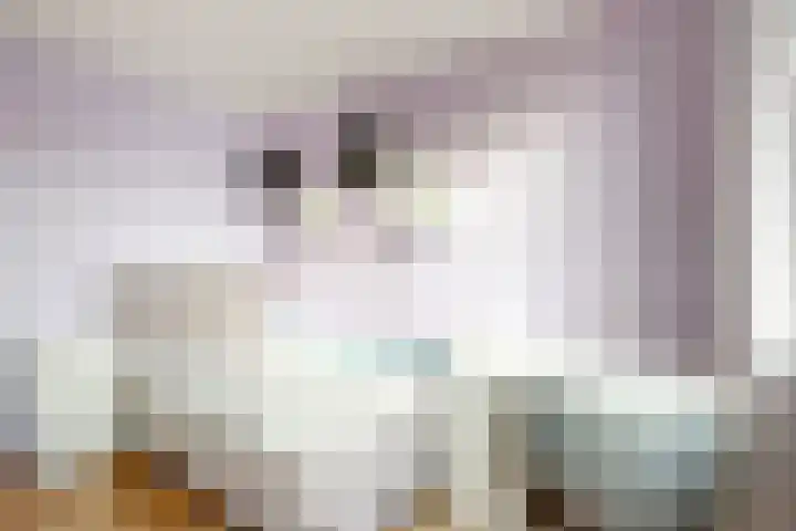 Korenbloem 7 Zevenbergen thumbnail 37