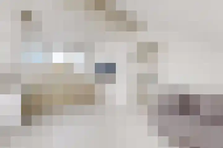Korenbloem 7 Zevenbergen thumbnail 47