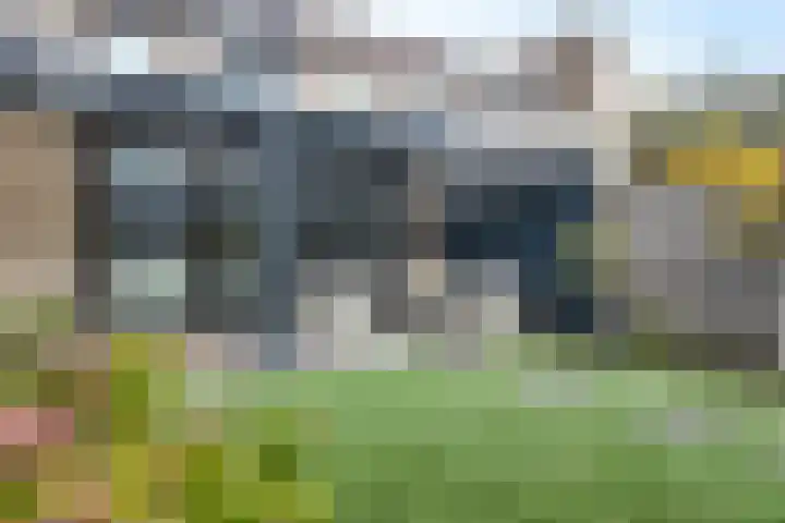 Korenbloem 7 Zevenbergen thumbnail 52