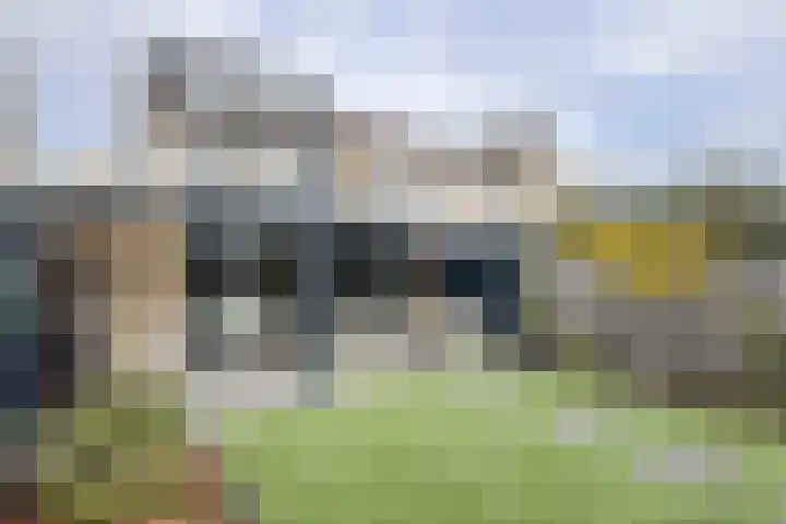 Korenbloem 7 Zevenbergen thumbnail 53
