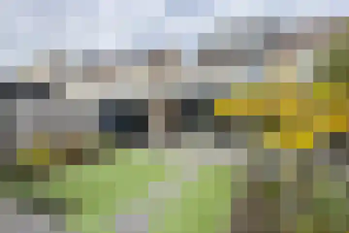 Korenbloem 7 Zevenbergen thumbnail 55