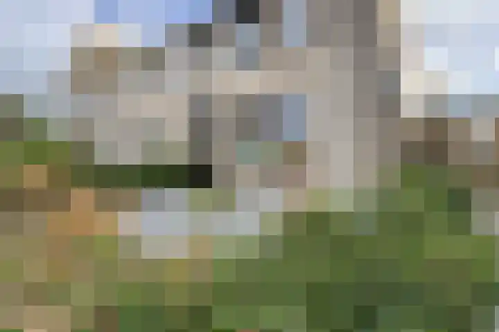 Korenbloem 7 Zevenbergen thumbnail 56