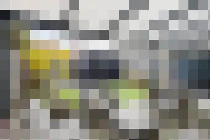 Korenbloem 7 Zevenbergen thumbnail 6