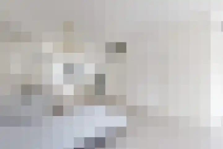 Korenbloem 7 Zevenbergen thumbnail 9